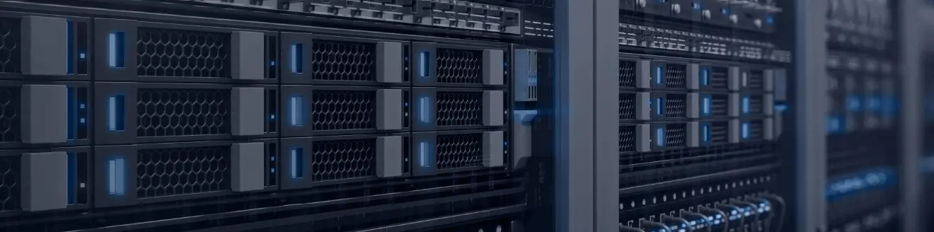 Web Hosting Banner